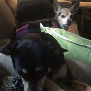 Meet your Posher, Julie